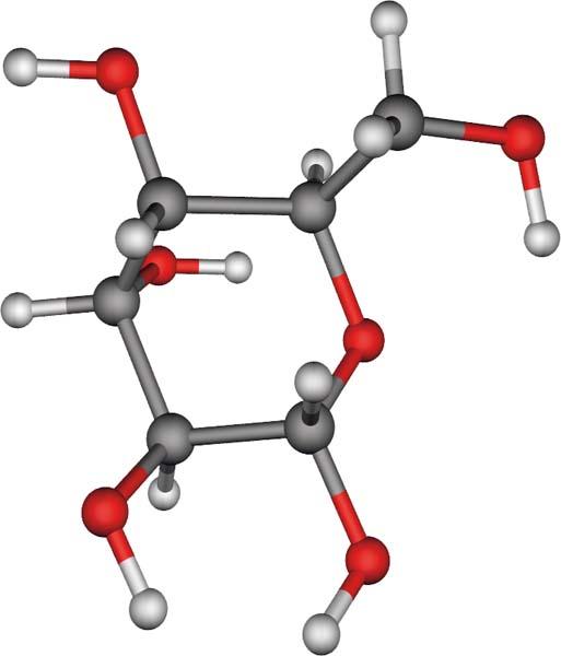 22. Model molekule glukoze.jpg